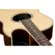 Violão Cutway EAGLE - GL36 STNT (Natural)