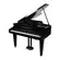 Piano de Cauda Preto TOKAI de 88 Teclas - TP-350C