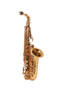 Saxofone Alto Laqueado em Eb ZAS600L - ZELLMER
