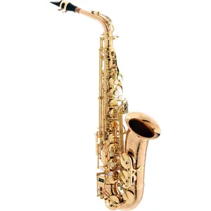 Saxofone Alto Profissional EAGLE - SAX 510