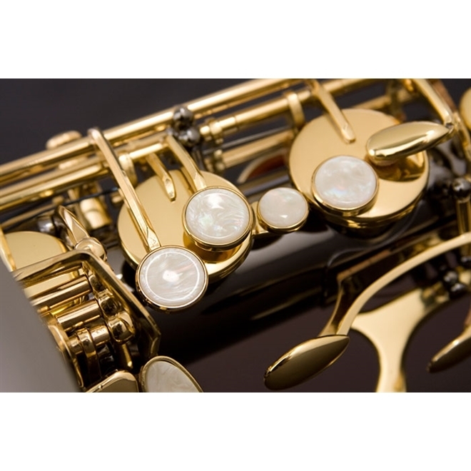 Descubra a Magia do Saxofone Tenor EAGLE ST503BG Black Onix