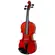 Violino 3/4 Michael VNM130 - Ébano Series