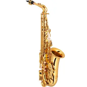 Saxofone Alto Hofma com Estojo Super Luxo - HSA 400