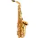 Saxofone Alto Hofma com Estojo Super Luxo - HSA 400
