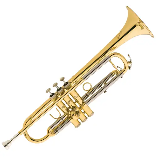 Trompete Eagle Bb com Estojo TR504