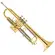 Trompete Eagle Bb com Estojo TR504