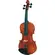 Violino 4/4 Eagle VE244 - MASTER SERIES