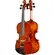Violino 4/4 Eagle VE144 - MASTER SERIES