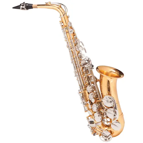 Saxofone Alto MICHAEL WASM49 Eb Duplo Dourado e Niquelado