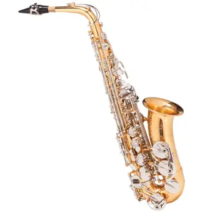 Saxofone Alto MICHAEL WASM49 Eb Duplo Dourado e Niquelado