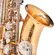 Saxofone Alto MICHAEL WASM49 Eb Duplo Dourado e Niquelado