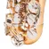 Saxofone Alto MICHAEL WASM49 Eb Duplo Dourado e Niquelado