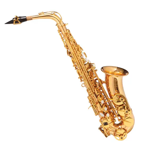 Saxofone Alto MICHAEL WASM48 Eb Duplo Dourado