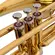 Trombone de Pisto Curto em C Dó Eagle TV603