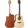 Violão Folk Cutaway com Captação Ativa Hofma HMF290STNT