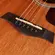 VIolão Folk SHELBY SGD195CSTNT
