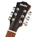 VIolão Folk SHELBY SGD195CSTNT