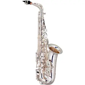 Saxofone Alto Profissional EAGLE - SAX 510S de Bronze com banhado a Prata