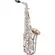 Saxofone Alto Profissional EAGLE - SAX 510S de Bronze com banhado a Prata