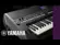 Teclado Arranjador Yamaha PSR-SX600