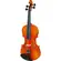 Violino 4/4 Eagle VE145 - MASTER SERIES
