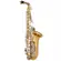 Saxofone Alto Laqueado com Chaves Niqueladas Tokai TSA-200LN