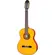 Violão Clássico Acustico Eagle DH69 STVG
