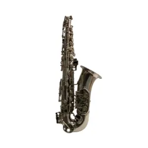 Saxofone Alto Niquelado Galasso - Outlet OT021