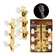 Tarraxa Pino Fino Dourada Celulóide Branco/Headstock Furo Lateral
