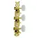 Tarraxa Pino Fino Dourada Celulóide Branco/Headstock Furo Lateral