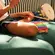 Metalofone Infantil Com 10 Notas - KIDZZO
