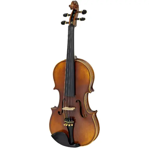 Violino Acústico 4/4 Tampo Abeto Maciço Tokai - V-250F