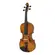 Violino Acústico 4/4 Profissional - Tokai V-600V