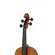 Violino Acústico 4/4 Profissional Tokai - V-650V