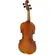 Violino Acústico 4/4 Profissional Tokai - V-650V