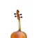 Violoncelo 4/4 Fosco - Tokai C-200F