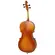 Violoncelo 4/4 Fosco - Tokai C-200F