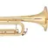 Trompete Eagle Master Series Bb com Estojo TRX540