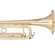 Trompete Eagle Master Series Bb com Estojo TRX550